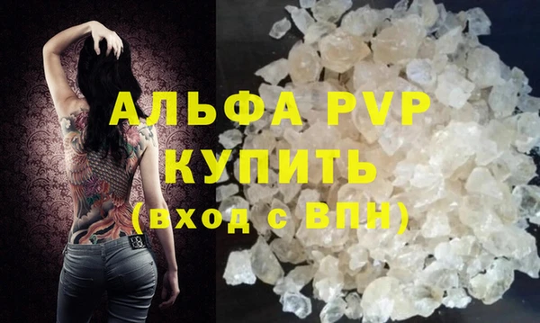 СК Волоколамск