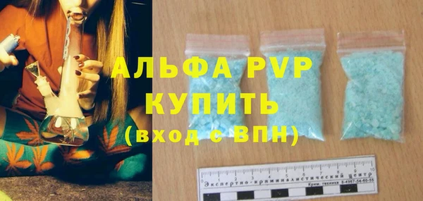 трава Пересвет