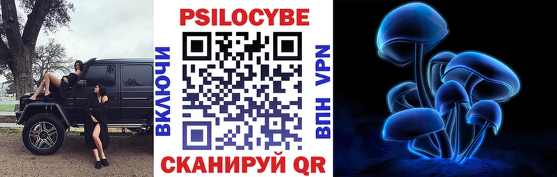цены наркотик  Зеленокумск  kraken ONION  Галлюциногенные грибы Psilocybe 